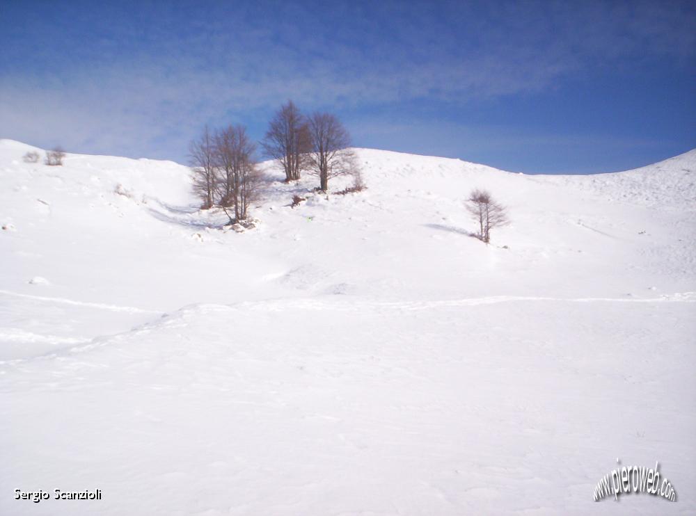 21 Parecchia neve.JPG